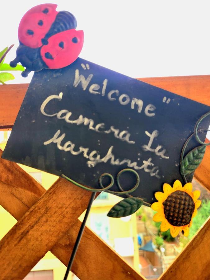 Camera La Margherita 산퀴리코도르시아 외부 사진